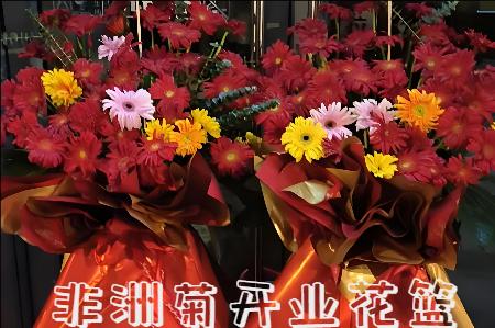 邵阳新邵县开业花篮